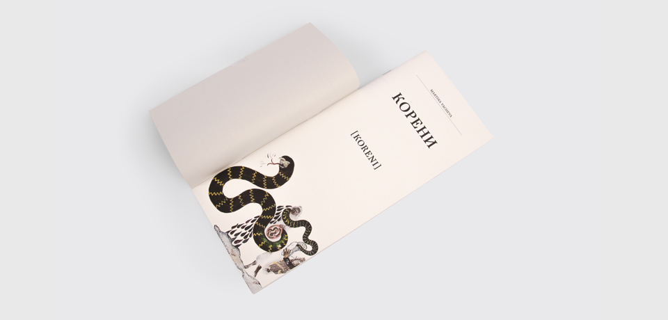 Johanna Unterberg, Design, Kataloggestaltung